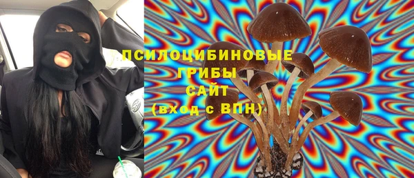 гидропоника Белоозёрский